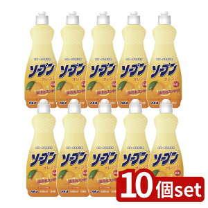 y10Zbgz JlΌ \[vIW { [Pie/600ml] | JlΌ \[v IW  IWΌ A  IWIC { ƒp  ʏ H 