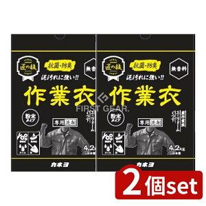 y2Zbgz JlΌ ̋Z ƈߐ [Pie/4200g] | JlΌ  p  ƈߐ   @ h@ { Ό Jlƈ 