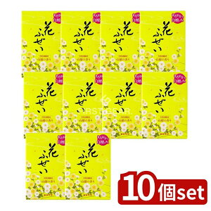 y10Zbgz J} Ԃӂ  h p^ [Pie/220g] |   J} Ԃӂ h ^  S Q A} pi RĎ  Rf  VR 