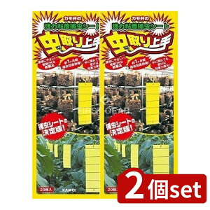 _r[TL^y2Zbgz JH  F [Pie/20] | JH  ߒV[g ͔S SV[g ܂Ȃ z Qߊl ؍͔| t[