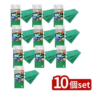 _r[TL^y10Zbgz LN ĂoX Ƃ[ Jrg3P [Pie/7g] | ĂoX Jrg LN q sDz oX| {  |pi |