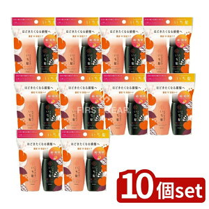 y10Zbgz NVG  ZWێPA Vv[&RfBVi[ ~jZbg [Pie/80ml] |  Vv[  RfBVi[ av~AGLX wAPA 