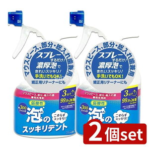 _r[TL^y2Zbgz CIP~J ÃXbLfgXv[{ [Pie/300ml] | ꎕ }EXs[X pe[i[ ꎕXv[ A^C