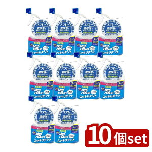 _r[TL^y10Zbgz CIP~J ÃXbLfgXv[{ [Pie/300ml] | ꎕ }EXs[X pe[i[ ꎕXv[ A^