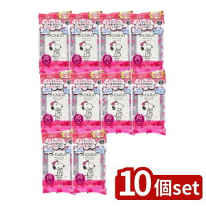 _r[TL^y10Zbgz R[Z[ GXJbg p fIhg pE_[V[g [Y [Pie/40] | GXJbg fIhg V[g pE_[V[g pfIh