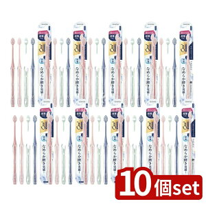 y10Zbgz TX^[ I[c[ v~A nuV Ȃ߂炩tBbg[RpNgEӂ] [Pie/1{] | I[c[ v~A nuV uV ӂ RpNg Ora2 