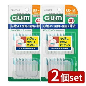 _r[TL^y2Zbgz TX^[ KE\tgsbN40P[SS~M] [Pie/40{] | K \tgsbN ԃuV GUM TX^[  S^Cv f wXPA f