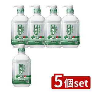 y5Zbgz TX^[ KEvXf^X XbLu₩^Cv [Pie/900ml] | K }EXEHbV f^X  n~KL 򕔊Oi t̎ t 