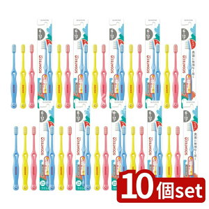 _r[TL^y10Zbgz TX^[ \_eRǂnuV6-12˗p [Pie/1{] | TX^[ nuV ǂp \_eR 6-12 qp uV ܂ oPA  