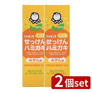 y2Zbgz V{ʐ΂ V{ʂǂn~KL [Pie/50g] | V{ ǂn~KL ݂͂ ݂ q n~KL qp n~