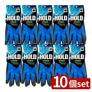 _r[TL^y10Zbgz V[ HOLD^OtM [Pie/1] | V[O[u tR[g V[ HOLD   Ɨp ~ߎ _ tBbg 