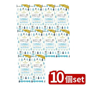 _r[TL^y10Zbgz V[ iCXnh ꂢȎ O[u rj[ M [Pie/100] | V[O[u ĝĎ rj[ iCXnh  M