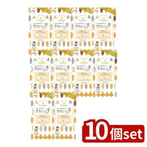 y10Zbgz V[ iCXnh ꂢȎ O[u VRS M [Pie/100] | V[O[u S g VRS Lk {bNX^Cv pE_[t