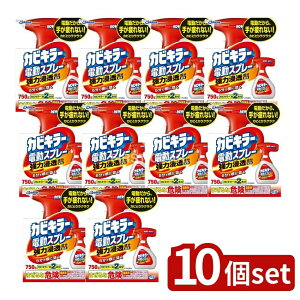 y10Zbgz W\ JrL[dXv[{ [Pie/750g] | JrL[ Jr dXv[ JrXv[ C| | Xv[  dXv