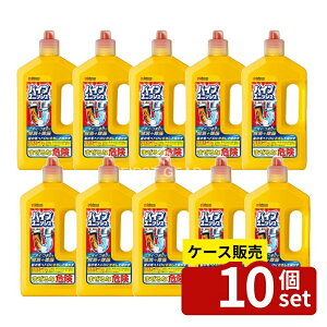 _r[TL^y 10Zbgz W\ pCvjbV [Pie/800g] | pCvN[i[ pCvjbV rN[i[ r   | C| r