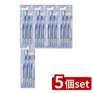 _r[TL^y5Zbgz XP[^[ NAuV ݂R炵 󂳂 TBCR6T [Pie/3{] | XP[^[ uV NA ݂R炵 w uVZbg L