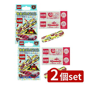 y2Zbgz XP[^[ ~}΂񂻂 g~J19 QQB1 [Pie/20] | Jnp LN^[ ΂񂻂 킢 LbY o\ERE ~}Jnp q c j̎q K[[ ی 