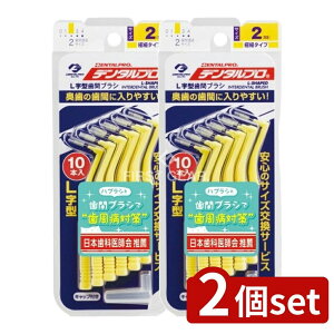 y2Zbgz f^v f^vԃuVL^TCY2 [Pie/10{] | f^v ԃuV L^ I[PA C   ` i gѕ֗ nh 2FWJ 