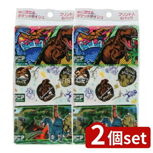 y2Zbgz nV AjA|Pbg [Pie/6] | AjA Aj}Ahx`[ |PbgeBbV LN^[ qǂ j̎q o eBbV ObY ct wZ i