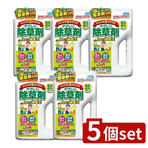 y5Zbgz t}L[ J_悯 [Pie/2L] | t}L[  悯  K[fjO G  t s |  ƒp Xv[ Uz Hi g₷ Uz@