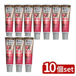 y10Zbgz z[[ VG J[g[gg ^b`p i`uE [Pie/140g] | z[[ J[g[gg VG i`uE ^b`p  