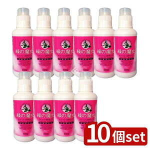 y10Zbgz ~}XN[PA ΂̖h[_ܓ{ [Pie/500g] | ΂̖  _ܓ h[ t[̍ h@gp F 