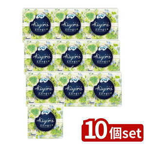 y10Zbgz jE`[ \tCKIYORAtOXtcV [Pie/72] | \tB peBCi[ ̃V[g \tBKiyora i`O[ pi ʋCV[g 