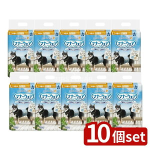 _r[TL^y10Zbgz jE`[ }i[EFAj̎qpLXgCv [Pie/40] | }i[EFA j̎qp pp gCpi pނ XgCvW[Y yb