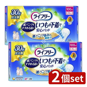 �_���r���[���T�L�^�y2�Z�b�g�z ���j�E�`���[�� ���C�t���[�����̉����ň��S�p�b�h 100CC [�P�i���e��/30��] | ���C�t���[ ���ނ� �A���p�b�h ���p�i ���L�p�b�h ���S�p�b�h ��l�p��