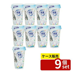 _r[TL^y 9Zbgz jE`[ LgC܂Lr[Y\[v [Pie/450ml] | L LgC Lr[Y gCL Lpr[Y tLgC