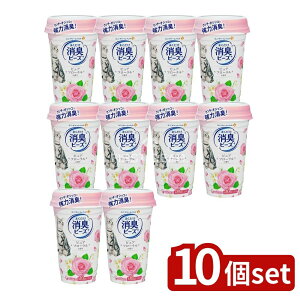 _r[TL^y10Zbgz jE`[ LgC܂Lr[Yt[ [Pie/450ml] | L LgC r[Y t[  LgC܂ r[YL 