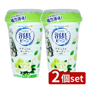 _r[TL^y2Zbgz jE`[ LgC܂Lr[YK[f [Pie/450ml] | L LgC  r[Y j`[ Lp gC̍L i`K