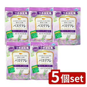 _r[TL^y5Zbgz CIP~J oXtp܂߂px_[̍ [Pie/540g] | CIP~J  oXt x_[  C 