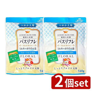 _r[TL^y2Zbgz CIP~J oXtp܃~L[zCĝɂ蓒߂pt[̍R [Pie/540g] | CIP~J  oXt