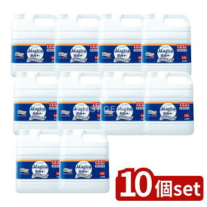 y10Zbgz CInCW[ Ɩp `[~[ }WJ + vXvtGcVi  XvcVIW̍ [Pie/3800ml] | `[~[ }WJ XvbVI