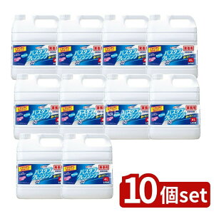 y10Zbgz CInCW[ Ɩp oX^uNWO CIvX [Pie/4000ml] | oX^uNWO  CI bN CI p ~Xg^Cv