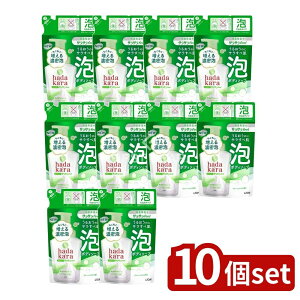 y10Zbgz CI hadakara(n_J){fB\[v AŏoĂTTfeel^Cv O[VgX̍ ߂p [Pie/420ml] | hadakara {fB\[v A {fBVv[ {