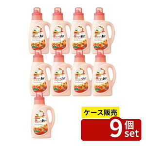 _r[TL^y 9Zbgz CI Âgbv XEB[gn[j[ { [Pie/850g] | Âgbv  XEB[gn[j[ _ܓ p