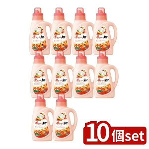 y10Zbgz CI Âgbv XEB[gn[j[ { [Pie/850g] | Âgbv  XEB[gn[j[ _ܓ p AR pi _