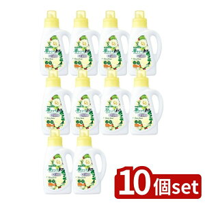 _r[TL^y10Zbgz CI Âgbv RۃvX VCj[[Y { [Pie/850g] | Âgbv  VCj[[Y A܂ t[ 