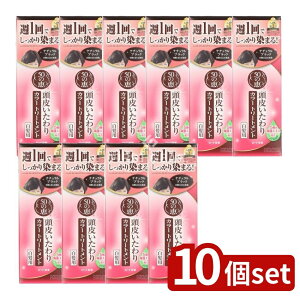 _r[TL^y10Zbgz [g 50̌b 炢J[g[gg i`ubN [Pie/150g] | [g  J[g[gg i`u