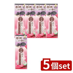 _r[TL^y5Zbgz [g 50̌b 炢J[g[gg ubN [Pie/150g] | [g J[g[gg  ubN g[gg 