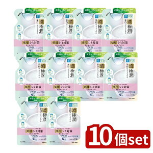 y10Zbgz [g { ɏ  p[tFNgQ lւ [Pie/80g] | 򕔊Oi [g ɏ Q { XLPA I[C glLT_ qA_ 