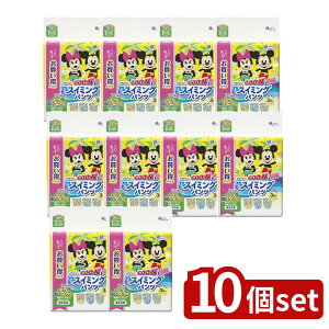 _r[TL^y10Zbgz 剤 O~XC~OpcBIGjp [Pie/12] | ނ XC~Opc O[ jp v[ނ ނXC~O ނO[ 