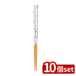 y10ZbgzCV_ ()  t[Y [X23cm |  t[Y [X VR 23cm ؐ {  CeA  Lb`pi H  䏊 킢 ȒP  v[