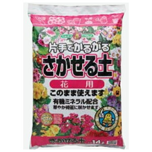  邪邳y 14L | ƒ؉ K[fjO e 엿