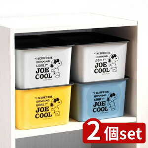 2set Iׂ2 щ RNgBOX S/M | RNgBOX [{bNX Xk[s[  { O[ vX`bN [ Ci[{bNX P[X y [P[X ӂt W[