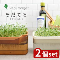 【2個セット】選べる ベジマジ そだてる ポット | スプラウトポット 水耕栽培 室内栽培 家庭菜園 簡単栽…