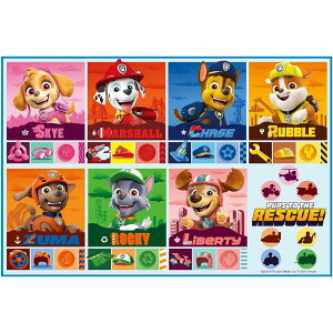 XP[^[ VS1W[V[g(S) pEpg25 | W[V[g  sNjbNV[g XP[^[ pEpg j̎q RpNg q  rj[ h LN^[ ObY  lp 