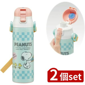 2set XP[^[ SDC6Nyʃ_CNgB SN 80sJtF | XP[^[  XeX y ۗ _CNg{g  580ml Cha V_[xg qlp Xk[s[ 80sJtF 